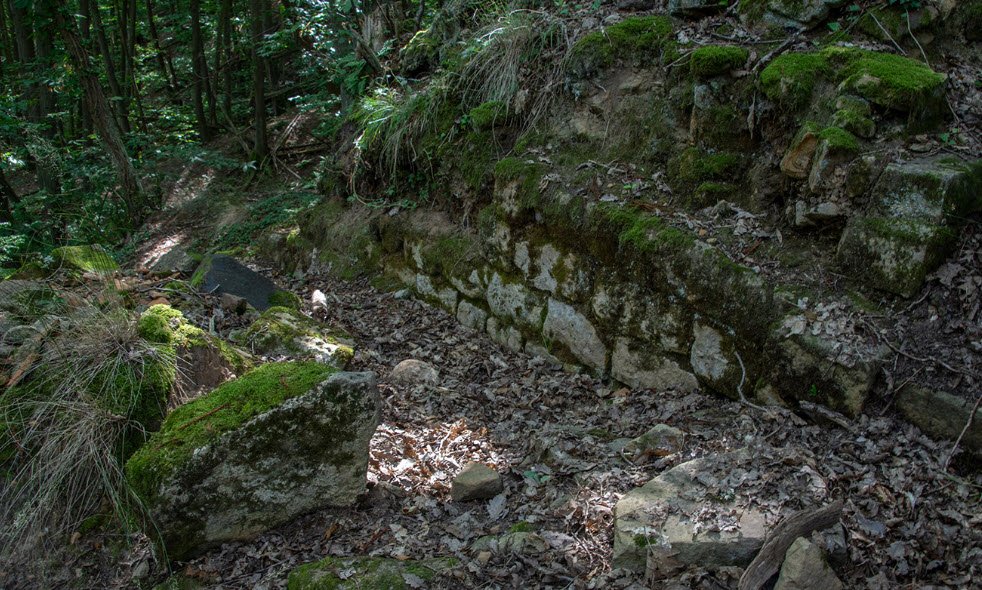 Burgstelle Alt-Scharfeneck, Frankweiler, Germany, Germany